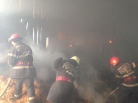 Pompierii încă intervin pentru lichidarea incendiului care a izbucnit ieri dimineață în Poarta Albă (galerie foto)