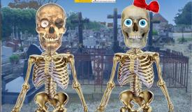 Râzi cu lacrimi Caricatura zilei