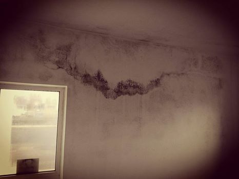 ssc farul constanta face apel pentru a renova tribuna oficiala a stadionului galerie foto 624281 ssc farul constanta face apel pentru a renova tribuna oficiala a stadionului galerie foto 624281