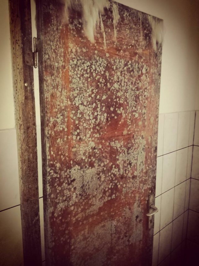 ssc farul constanta face apel pentru a renova tribuna oficiala a stadionului galerie foto 624281 ssc farul constanta face apel pentru a renova tribuna oficiala a stadionului galerie foto 624281