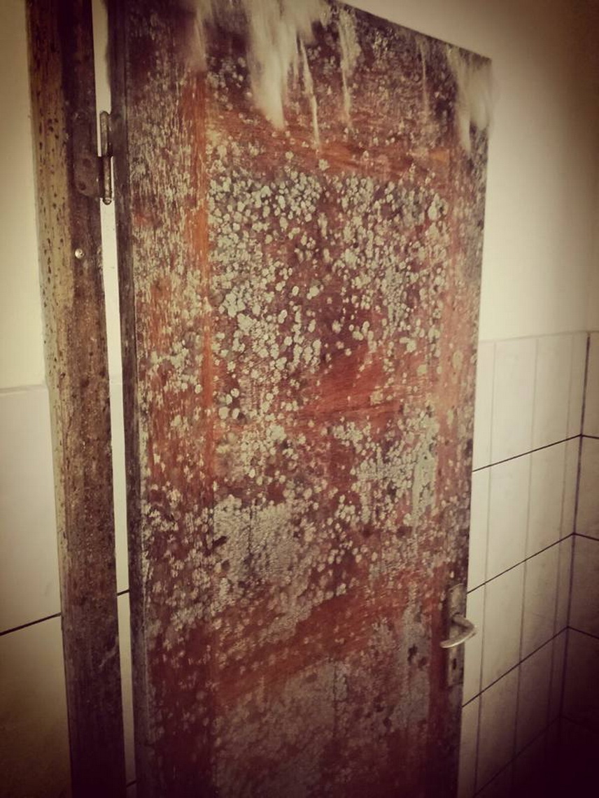 alte imagini de cosmar stadionul farul reabilitat sau arena noua construita la constanta galerie foto alte imagini de cosmar stadionul farul reabilitat sau arena noua construita la constanta galerie foto