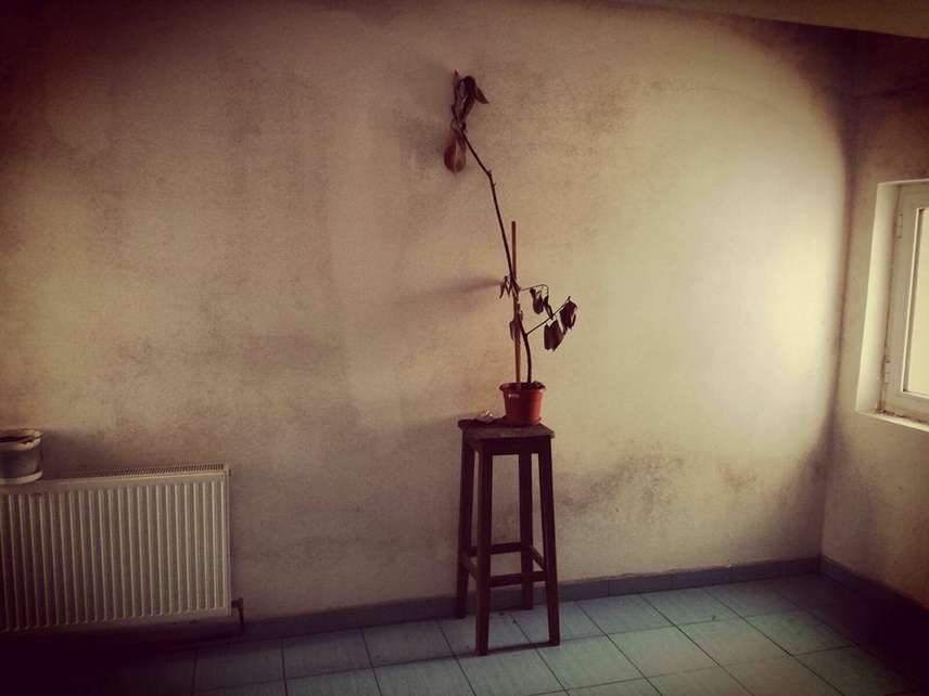 alte imagini de cosmar stadionul farul reabilitat sau arena noua construita la constanta galerie foto alte imagini de cosmar stadionul farul reabilitat sau arena noua construita la constanta galerie foto