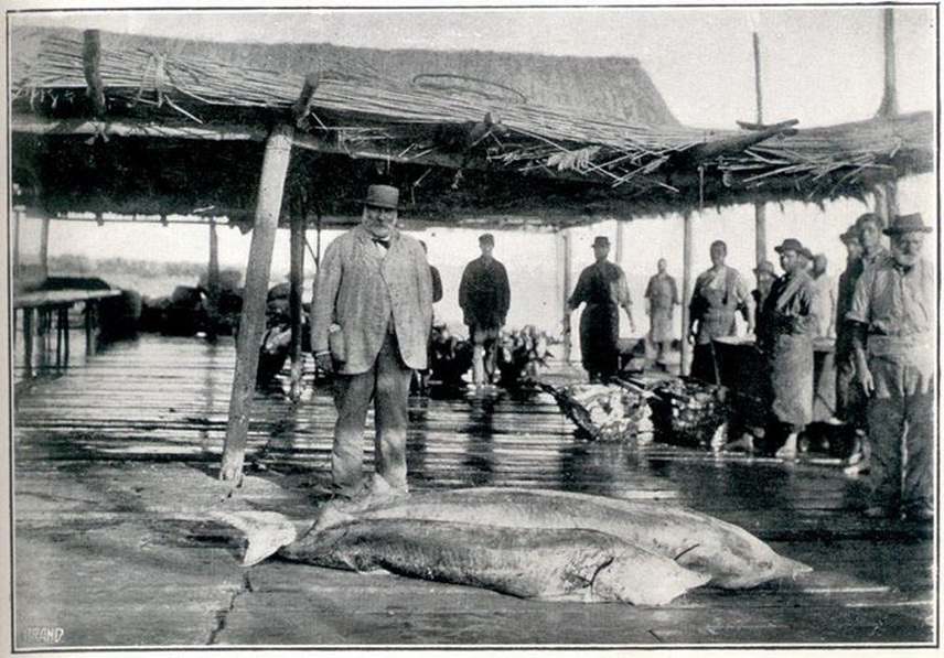 calatori straini prin dobrogea lxxix franz mihanovici croatia galerie foto 624433 calatori straini prin dobrogea lxxix franz mihanovici croatia galerie foto 624433