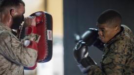 Militarii americani, antrenați în România în cadrul exerciţiului Black Sea Rotational Force 17