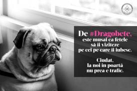 Misterioasa, şi haioasa, postare de Dragobete pe pagina de Facebook a SRI. În stilul caracteristic