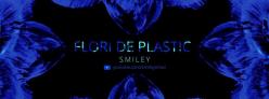Smiley - Flori de plastic