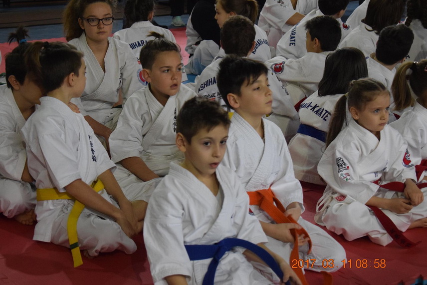 gethika team constanta zeci de medalii la cupa shin dojo adin iuxel gani s a clasat pe doi in piramida gethika team constanta zeci de medalii la cupa shin dojo adin iuxel gani s a clasat pe doi in piramida