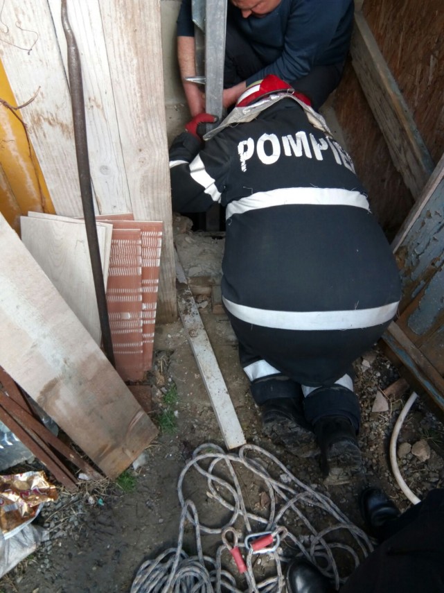 operatiune pentru salvarea unui caine la ovidiu a cazut in hazna galerie foto 626226 operatiune pentru salvarea unui caine la ovidiu a cazut in hazna galerie foto 626226
