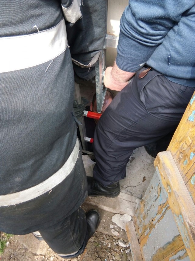 operatiune pentru salvarea unui caine la ovidiu a cazut in hazna galerie foto 626226 operatiune pentru salvarea unui caine la ovidiu a cazut in hazna galerie foto 626226
