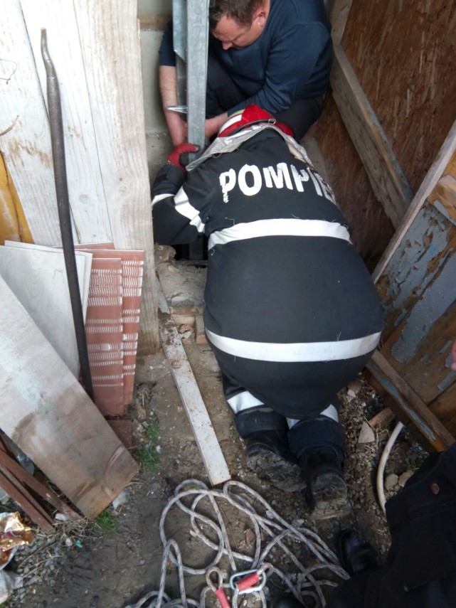 operatiune pentru salvarea unui caine la ovidiu a cazut in hazna galerie foto 626226 operatiune pentru salvarea unui caine la ovidiu a cazut in hazna galerie foto 626226