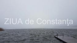 Irina Lucia Mihalca - Tot mai singur în cerc