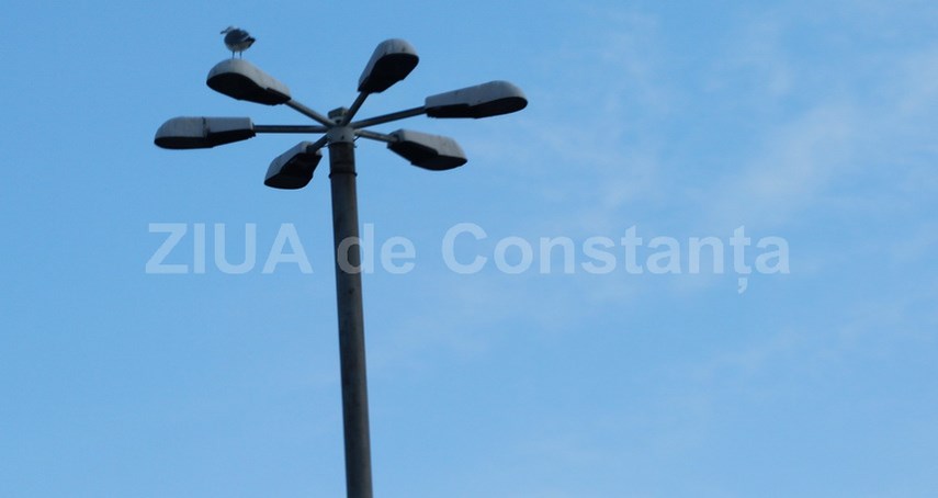 Sursa foto - ZIUA de Constanta