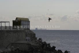  Provocarea reprezentata de schimbare 