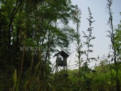  Procesul de invatare si EFT 