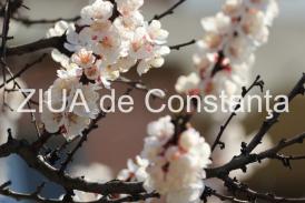  Şi eşecul este un succes  