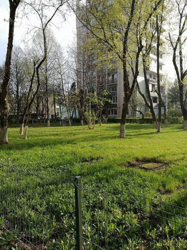 cluj napoca locuri de joaca ingrijite si multa verdeata galerie foto 627969 cluj napoca locuri de joaca ingrijite si multa verdeata galerie foto 627969