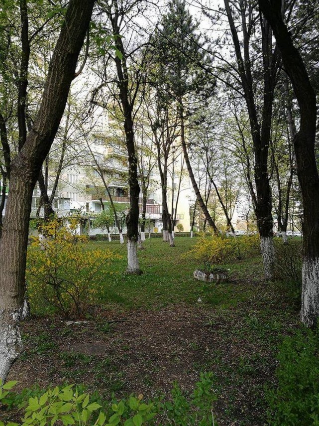 cluj napoca locuri de joaca ingrijite si multa verdeata galerie foto 627969 cluj napoca locuri de joaca ingrijite si multa verdeata galerie foto 627969