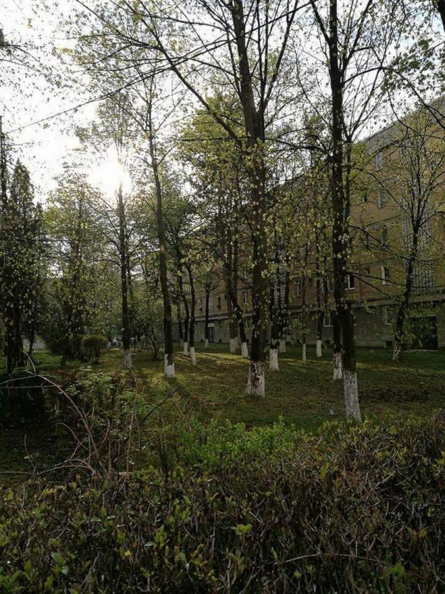 cluj napoca locuri de joaca ingrijite si multa verdeata galerie foto 627969 cluj napoca locuri de joaca ingrijite si multa verdeata galerie foto 627969