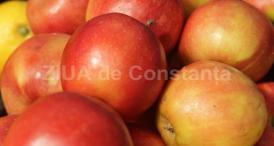 Merele au beneficii incontestabile pentru sănătate