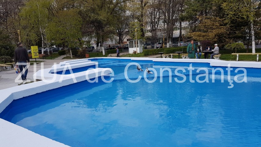 raja pune in functiune cinci dintre fantanile arteziene de la nivelul municipiului constanta 628716 raja pune in functiune cinci dintre fantanile arteziene de la nivelul municipiului constanta 628716