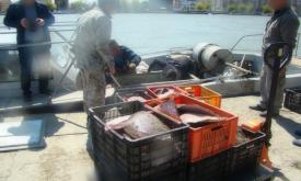 Pe Marea Neagră, ambarcaţiune ucraineană, aflată la braconat în zona economică exclusivă a României 