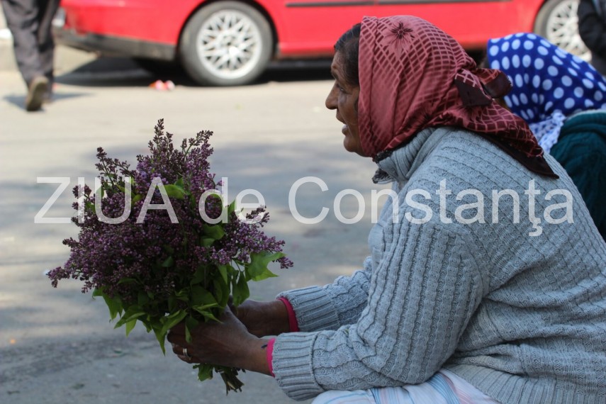 zeci de persoane la cimitirul central din constanta pentru a cinsti amintirea celor adormiti fotoreportaj zeci de persoane la cimitirul central din constanta pentru a cinsti amintirea celor adormiti fotoreportaj