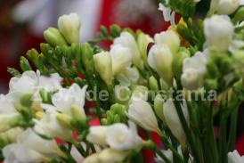  Indrăzneala noului!   