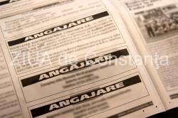 Şcoala Gimnazială nr. 1 Oltina din judeţul Constanţa angajează. Detalii