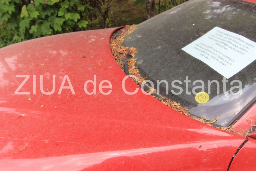 constantenii scriitori pe masini mesaje scrijelite in tabla galerie foto 630434 constantenii scriitori pe masini mesaje scrijelite in tabla galerie foto 630434