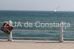 Irina Lucia Mihalca -  Strigătul 