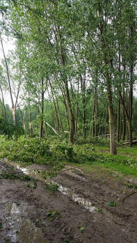 furtuna puternica la facaeni judetul ialomita este singura localitate din romania afectata de o tornada furtuna puternica la facaeni judetul ialomita este singura localitate din romania afectata de o tornada