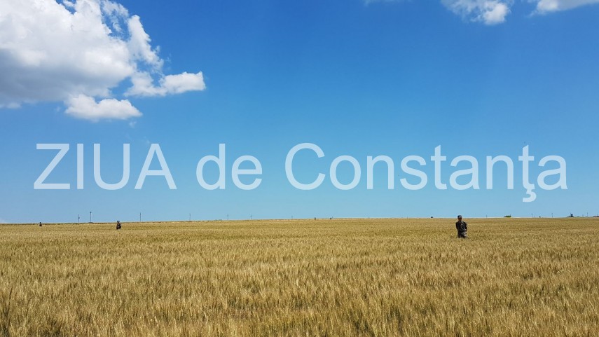 live text si video mig lancer cazut langa culmea la opt kilometri de aeroportul mihail kogalniceanu judetul live text si video mig lancer cazut langa culmea la opt kilometri de aeroportul mihail kogalniceanu judetul