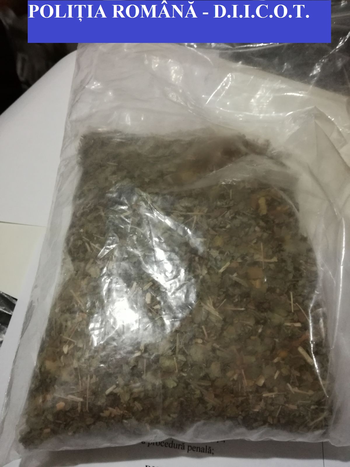 perchezitii diicot ruta drogurilor de mare risc este bulgaria port constanta eforie 632981 perchezitii diicot ruta drogurilor de mare risc este bulgaria port constanta eforie 632981