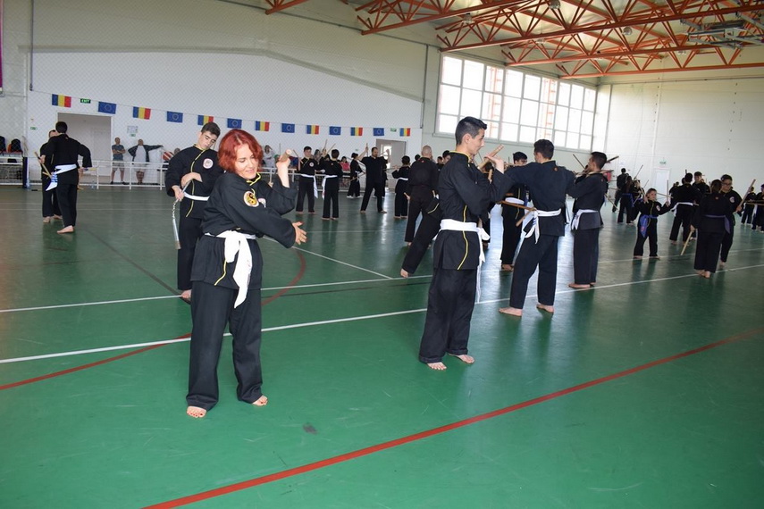 vicepresedintele federatiei romane de arte martiale a condus stagiul national de qwan ki do de la cumpana vicepresedintele federatiei romane de arte martiale a condus stagiul national de qwan ki do de la cumpana