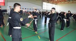Vicepreşedintele Federaţiei Române de Arte Marţiale a condus stagiul naţional de Qwan Ki Do de la Cumpăna (galerie foto+video)