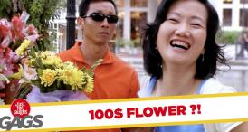 Funny video Buchetul de 100 de dolari