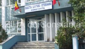 Comandament Sezon Estival 2017, lansat de DSVSA Constanţa. La ce număr se pot face sesizări! 