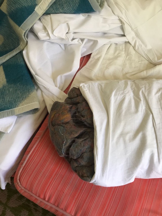 mai multe hoteluri din eforie nord au fost controlate de comisarii cjpc constanta conditii greu de imaginat mai multe hoteluri din eforie nord au fost controlate de comisarii cjpc constanta conditii greu de imaginat