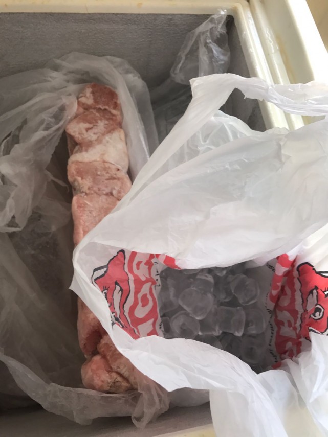 mai multe hoteluri din eforie nord au fost controlate de comisarii cjpc constanta conditii greu de imaginat mai multe hoteluri din eforie nord au fost controlate de comisarii cjpc constanta conditii greu de imaginat