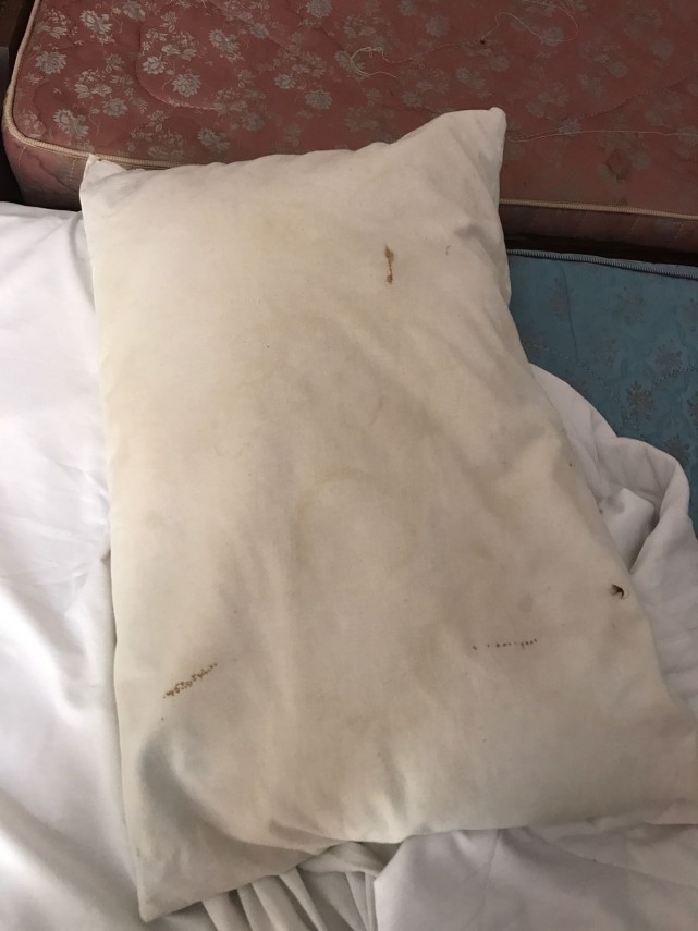 mai multe hoteluri din eforie nord au fost controlate de comisarii cjpc constanta conditii greu de imaginat mai multe hoteluri din eforie nord au fost controlate de comisarii cjpc constanta conditii greu de imaginat