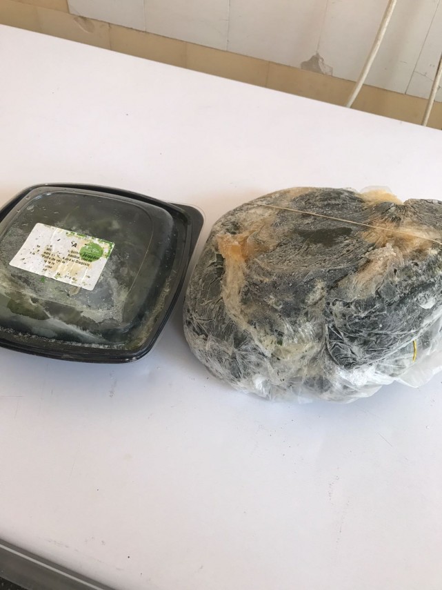 mai multe hoteluri din eforie nord au fost controlate de comisarii cjpc constanta conditii greu de imaginat mai multe hoteluri din eforie nord au fost controlate de comisarii cjpc constanta conditii greu de imaginat