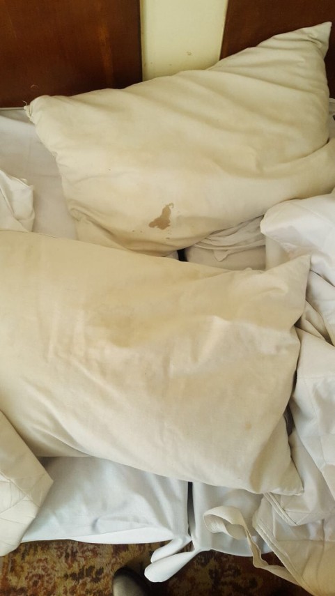 mai multe hoteluri din eforie nord au fost controlate de comisarii cjpc constanta conditii greu de imaginat mai multe hoteluri din eforie nord au fost controlate de comisarii cjpc constanta conditii greu de imaginat