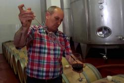 vinul.ro Armânlu nu cheari! Murfatlarul renaște de la Cernavodă   