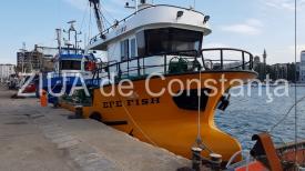 Nicio masă fără pește Avem flotă de pescuit? Da. Unde este? O putem vedea? Aveți aici răspunsurile (fotoreportaj+video)  