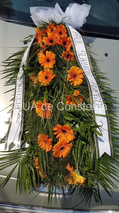 cum va decurge ceremonialul de inmormantare al compozitorului dumitru lupu 635378 cum va decurge ceremonialul de inmormantare al compozitorului dumitru lupu 635378