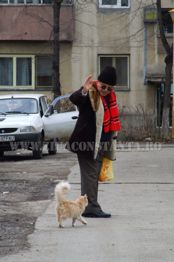 ziua internationala a pisicii animalul de companie perfect imagini inedite cu pisici surprinse in diverse ziua internationala a pisicii animalul de companie perfect imagini inedite cu pisici surprinse in diverse