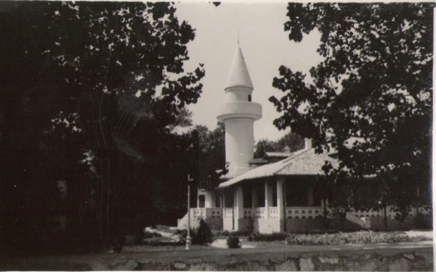 constanta de odinioara mamaia vacantelor noastre acasa galerie foto 636333 constanta de odinioara mamaia vacantelor noastre acasa galerie foto 636333