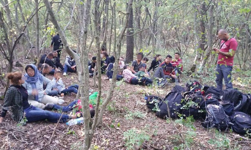 constanta doua masini pline cu migranti au trecut ilegal frontiera dintre bulgaria si romania politistii constanta doua masini pline cu migranti au trecut ilegal frontiera dintre bulgaria si romania politistii