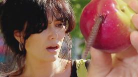 Funny video Farsă cu fructe