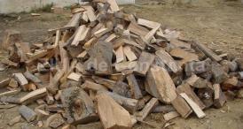 Exportul de lemne de foc ar putea fi interzis pentru următorii trei ani. Senatul a apropat propunerea legislativă